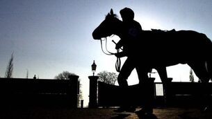 Michael Scudamore weighs up Next Sensation’s bid for Annual repeat