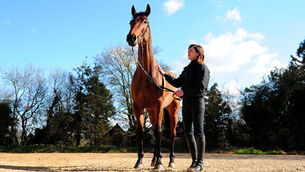 Is there value in opposing Thistlecrack in the World Hurdle?