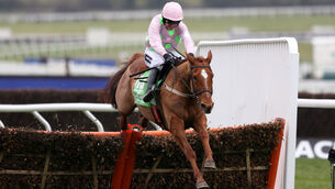 2016 Cheltenham Festival - Champion Day - Cheltenham Racecourse