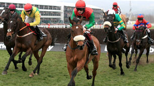 Dodging Bullets ready to fire at Newbury