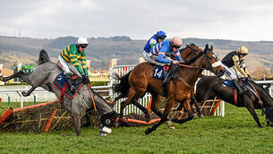 Applying logic not always the best bet at Cheltenham