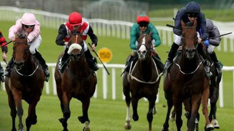 Bookmakers happy to take on Air Force Blue Bookmakers happy to take on Air Force Blue