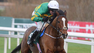 Today’s Irish raiders at the Festival — race by race 