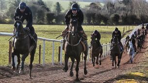 Don Cossack reaches summit in style