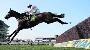 Last-minute Vautour comes good on the day