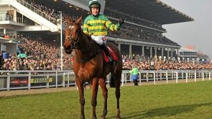 More Of That can maintain perfect Cheltenham record