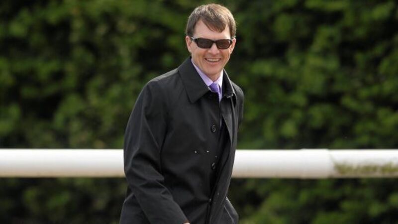 Today's Tips: Monarch can make amends in maiden at Gowran Park Today's Tips: Monarch can make amends in maiden at Gowran Park