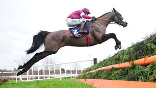 Gordon Elliott aiming to answer call for No More Heroes in RSA Chase