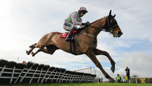 Annie Power presence fails to scare off Nicky Henderson