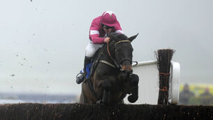 Today's Tips: Sir Des Champs can defy near 700-day lay-off at Thurles