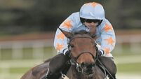 Williev Mullins ‘looking’ at Ascot race for Un de Sceaux