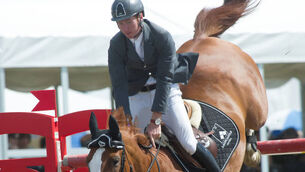 Beecher: Stallion and mare scheme in need of overhaul