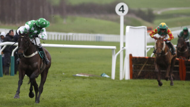 Cheltenham Races