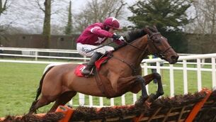 Alpha Des Obeaux boosts World Hurdle claims