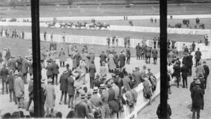 Celebrating 100 wonderful years of racing in Tipperary