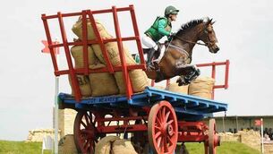 Hamburg Derby delight for Billy Twomey and Diaghilev