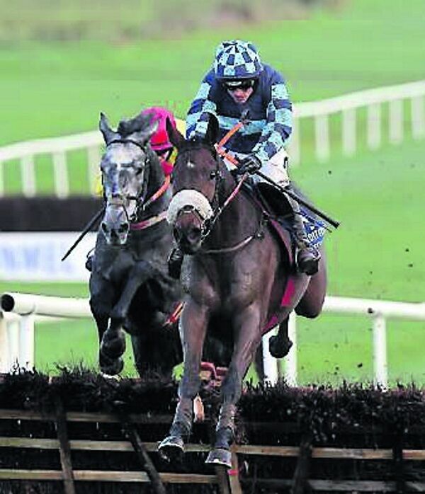 Jetstream Jack clears the last en route to victory.