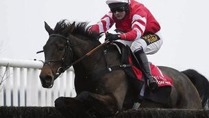 Out of sorts Coneygree to miss Hennessy Gold Cup