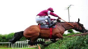 Tiger Roll retains unbeaten record over fences