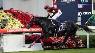 Today's tips: A Shin Hikari can justify the hype in Prince of Wales’s Stakes at Royal Ascot