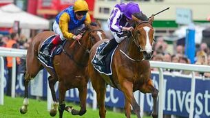 Pretty special Minding plays part in Aidan O’Brien four-timer