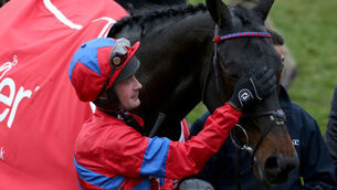 Sprinter Sacre back in business at Cheltenham