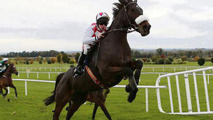 Flemenstar now in the care of owner’s son