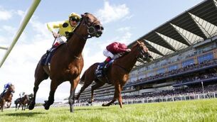 York tilt on Postponed’s agenda