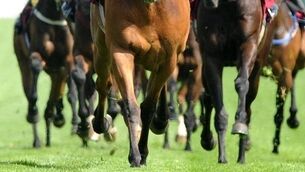 Reve de Sivola primed to complete Long Walk four-timer