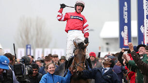 Irish horses dominate Gold Cup betting after Coneygree setback
