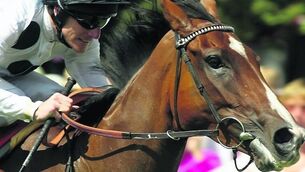 James Fanshawe and Johnny Murtagh hail ‘special’ filly Soviet Song
