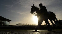 Get off to a flyer with Go Kart in opener at Dundalk