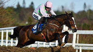Rerouted Vautour can fly to glory in Ryanair Chase