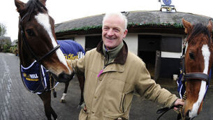 Willie Mullins charge made to measure for Scottish National