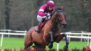 Two to keep in mind going forward post-Cheltenham