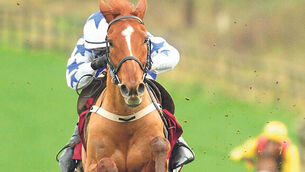 Avant Tout can Lord it at Limerick
