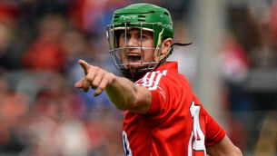 Seamus Harnedy left sick bed to join Cork in battle for survival