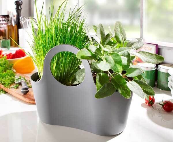 Give those shop-bought herbs a little respectful care with this inexpensive plant bag. Ideal for taking plants from a sunny step right to the counter as needed. €5.95, www.design3000.de Give those shop-bought herbs a little respectful care with this inexpensive plant bag. Ideal for taking plants from a sunny step right to the counter as needed. €5.95, www.design3000.de