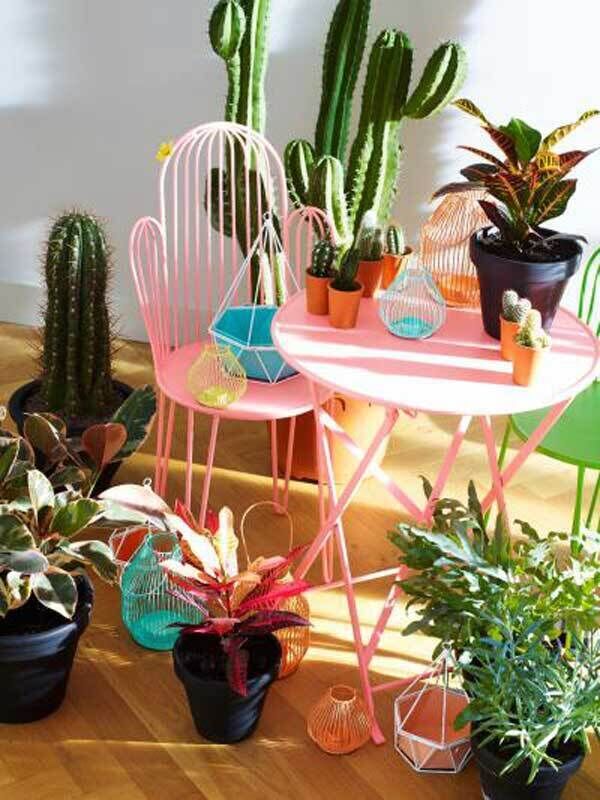 Suspend stage on a surface or take them to the floor, the latest range of houseplants are intended to cope with our neglectful ways- but even a cactus needs love, light and irrigation. Wiry accessories and seating from Oliver Bonas Suspend stage on a surface or take them to the floor, the latest range of houseplants are intended to cope with our neglectful ways- but even a cactus needs love, light and irrigation. Wiry accessories and seating from Oliver Bonas