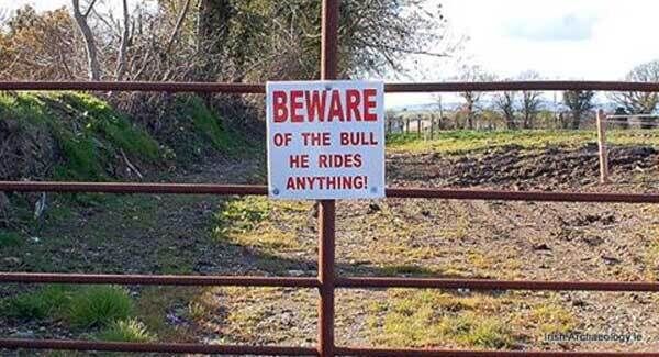 Photo via Irish Archaeology