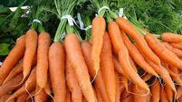 Carrots can cut breast cancer risk