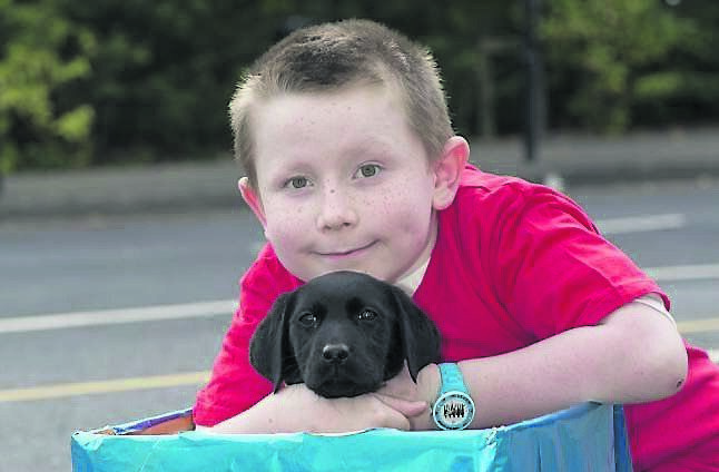Ben with Molly. He couldn’t get the dog until after his treatment for leukaemia was completed and he was in remission.