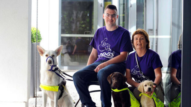 Charities seek update to laws concerning 'assistance dogs'