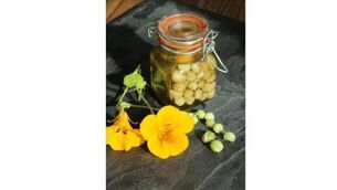 A very unusual recipe with Nasturtiums