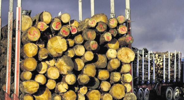 Timber firm Glennon Bros doubles profit