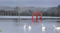 Is this deluge warning us of something?