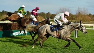 Ballycasey poised to rebound from Thyestes Chase disappointment