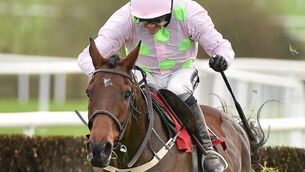 Horse Racing from Puncherstown