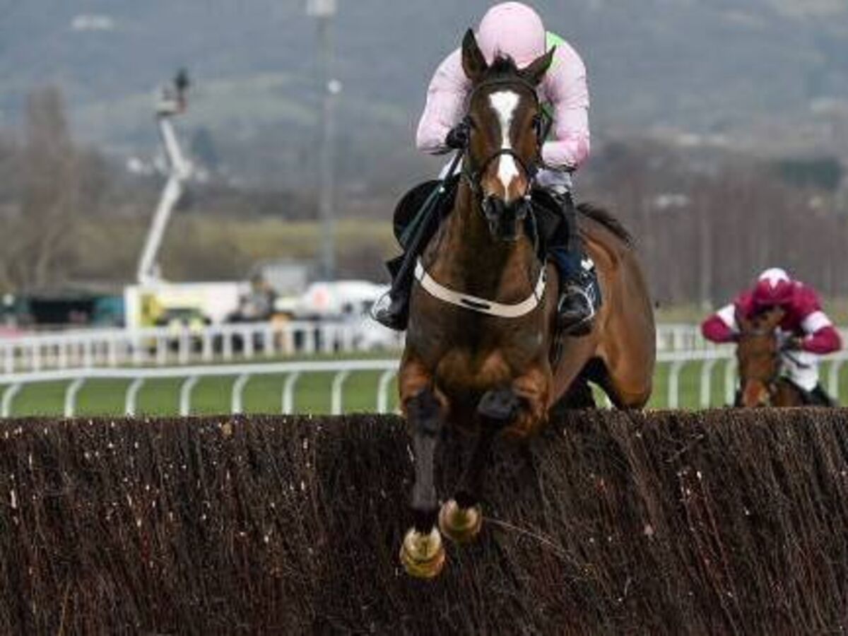 Wow Factor Was Missing With Vautour At Ascot