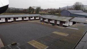 Property: Stunning stud farm in Tipperary to set the heart racing